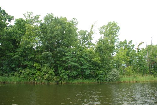 Property photo 2 - 24 Acres Offered in 5 Tracts
