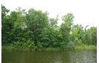Property photo 2 - 24 Acres Offered in 5 Tracts
