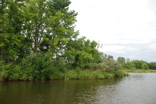 Property photo 17 - 24 Acres Offered in 5 Tracts
