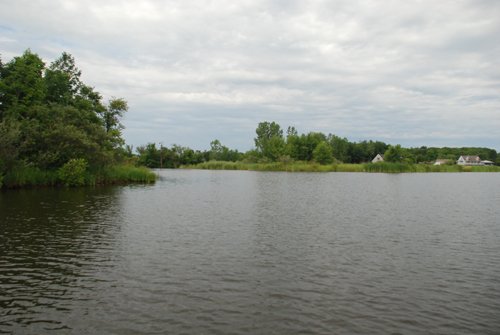 Property photo 42 - 24 Acres Offered in 5 Tracts
