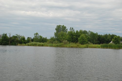 Property photo 16 - 24 Acres Offered in 5 Tracts
