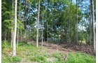 Property photo 13 - 24 Acres Offered in 5 Tracts
