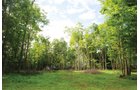 Property photo 41 - 24 Acres Offered in 5 Tracts

