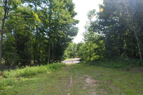 Property photo 15 - 24 Acres Offered in 5 Tracts
