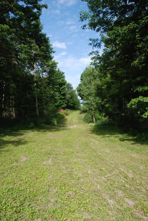Property photo 4 - 24 Acres Offered in 5 Tracts
