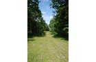 Property photo 4 - 24 Acres Offered in 5 Tracts
