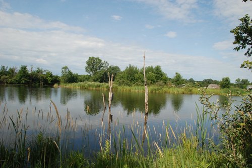 Property photo 34 - 24 Acres Offered in 5 Tracts

