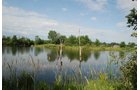 Property photo 34 - 24 Acres Offered in 5 Tracts
