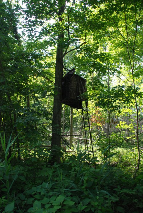 Property photo 33 - 24 Acres Offered in 5 Tracts
