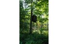 Property photo 33 - 24 Acres Offered in 5 Tracts
