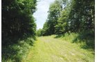 Property photo 19 - 24 Acres Offered in 5 Tracts
