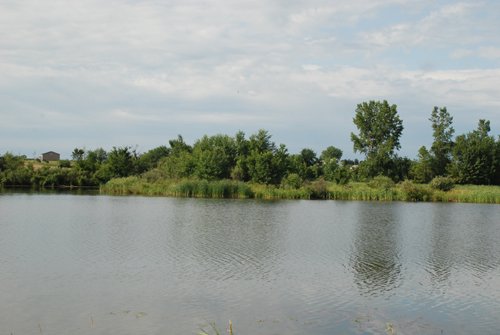 Property photo 46 - 24 Acres Offered in 5 Tracts
