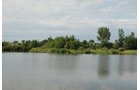 Property photo 46 - 24 Acres Offered in 5 Tracts
