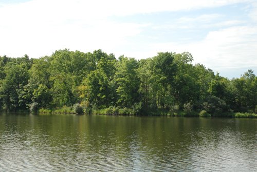 Property photo 47 - 24 Acres Offered in 5 Tracts
