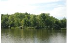 Property photo 47 - 24 Acres Offered in 5 Tracts

