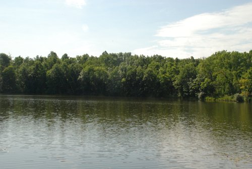 Property photo 40 - 24 Acres Offered in 5 Tracts
