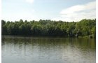 Property photo 40 - 24 Acres Offered in 5 Tracts
