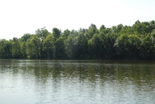 Property photo 21 - 24 Acres Offered in 5 Tracts
