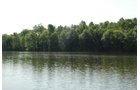 Property photo 21 - 24 Acres Offered in 5 Tracts
