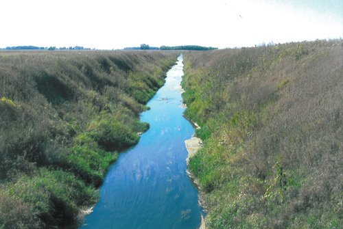 Property photo 4 - 122.5 Acres - Quality Farmland and 7-Tower Irrigation System Offered in 4 Tracts
