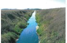 Property photo 4 - 122.5 Acres - Quality Farmland and 7-Tower Irrigation System Offered in 4 Tracts
