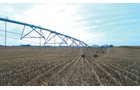 Property photo 6 - 122.5 Acres - Quality Farmland and 7-Tower Irrigation System Offered in 4 Tracts
