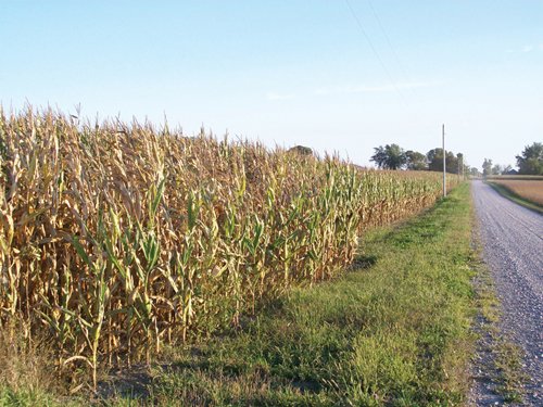 Property photo 3 - 210 Acres Offered in 5 Tracts