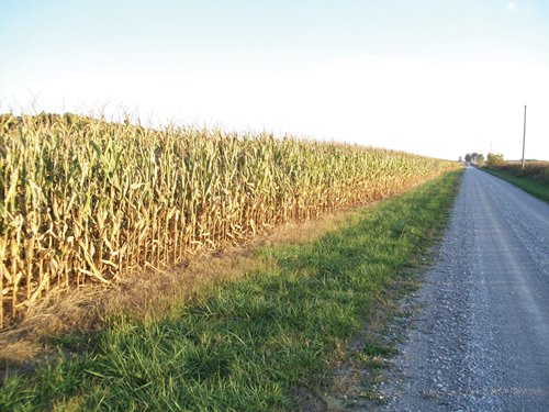 Property photo 1 - 210 Acres Offered in 5 Tracts