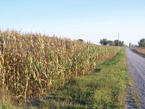 Property photo 2 - 210 Acres Offered in 5 Tracts
