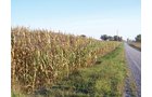 Property photo 2 - 210 Acres Offered in 5 Tracts