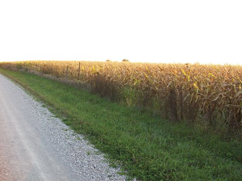 Property photo 5 - 210 Acres Offered in 5 Tracts