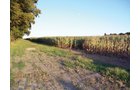 Property photo 6 - 210 Acres Offered in 5 Tracts