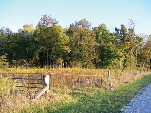 Property photo 7 - 210 Acres Offered in 5 Tracts