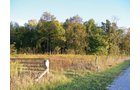 Property photo 7 - 210 Acres Offered in 5 Tracts
