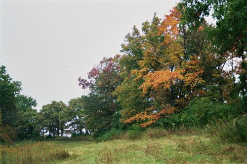Property photo 7 - 184 Acres Hunter's Paradise in Renowned Dutch Creek, Pike County, Illinois
