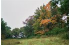 Property photo 7 - 184 Acres Hunter's Paradise in Renowned Dutch Creek, Pike County, Illinois
