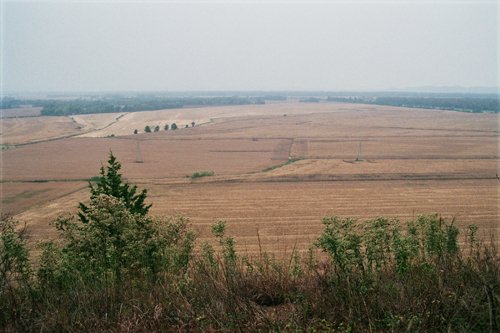 Property photo 5 - 184 Acres Hunter's Paradise in Renowned Dutch Creek, Pike County, Illinois
