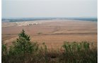 Property photo 5 - 184 Acres Hunter's Paradise in Renowned Dutch Creek, Pike County, Illinois
