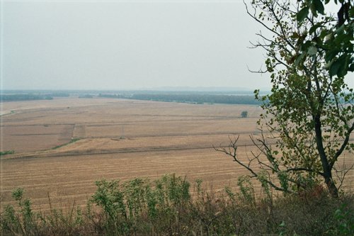 Property photo 4 - 184 Acres Hunter's Paradise in Renowned Dutch Creek, Pike County, Illinois
