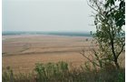 Property photo 4 - 184 Acres Hunter's Paradise in Renowned Dutch Creek, Pike County, Illinois
