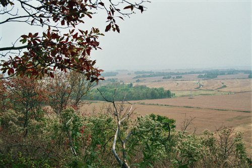 Property photo 9 - 184 Acres Hunter's Paradise in Renowned Dutch Creek, Pike County, Illinois
