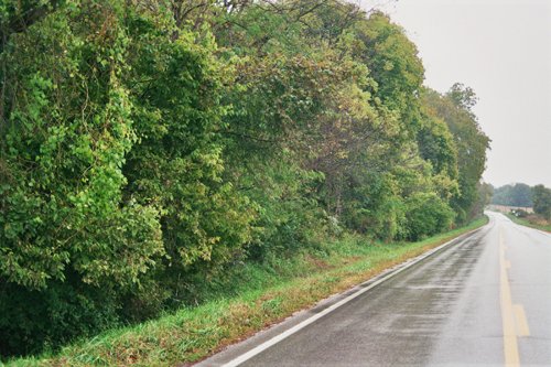 Property photo 1 - 184 Acres Hunter's Paradise in Renowned Dutch Creek, Pike County, Illinois
