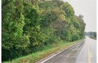Property photo 1 - 184 Acres Hunter's Paradise in Renowned Dutch Creek, Pike County, Illinois
