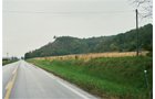 Property photo 13 - 184 Acres Hunter's Paradise in Renowned Dutch Creek, Pike County, Illinois
