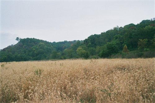 Property photo 6 - 184 Acres Hunter's Paradise in Renowned Dutch Creek, Pike County, Illinois
