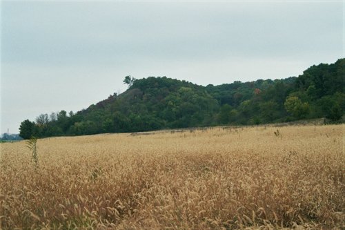 Property photo 3 - 184 Acres Hunter's Paradise in Renowned Dutch Creek, Pike County, Illinois
