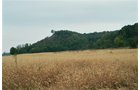 Property photo 3 - 184 Acres Hunter's Paradise in Renowned Dutch Creek, Pike County, Illinois

