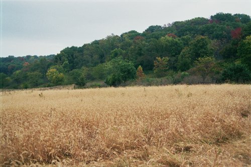 Property photo 10 - 184 Acres Hunter's Paradise in Renowned Dutch Creek, Pike County, Illinois
