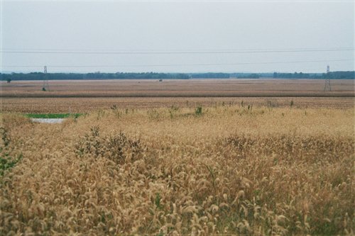 Property photo 8 - 184 Acres Hunter's Paradise in Renowned Dutch Creek, Pike County, Illinois
