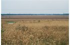 Property photo 8 - 184 Acres Hunter's Paradise in Renowned Dutch Creek, Pike County, Illinois
